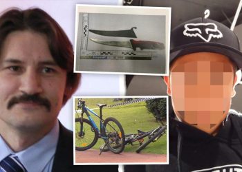 bull-creek-murder:-snapchat-of-teen-accused-of-killing-petr-levkovskiy-bragging-about-…