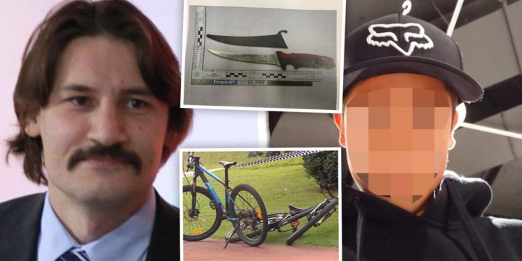 bull-creek-murder:-snapchat-of-teen-accused-of-killing-petr-levkovskiy-bragging-about-…