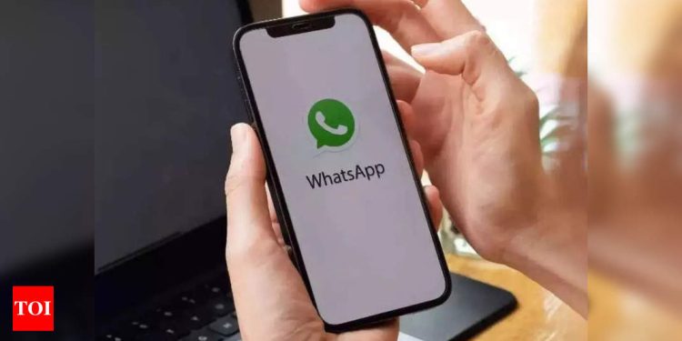 explained:-how-whatsapp-users-will-be-able-to-use-voice-recordings-as-status-update