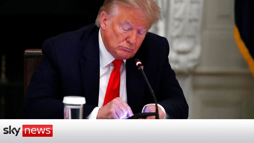 trump's-facebook-&-instagram-ban-lifted-but-will-he-use-it?-–-youtube