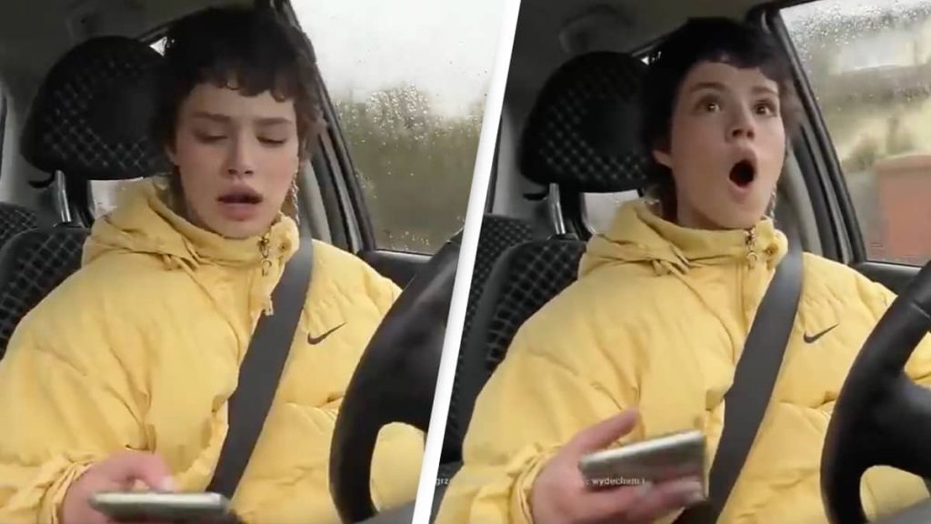 twitch-streamer-gets-banned-after-appearing-to-run-over-dog-during-livestream-–-unilad