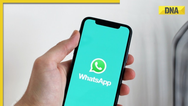 chatgpt-can-now-reply-whatsapp-messages-for-you,-here's-how-–-dna-india
