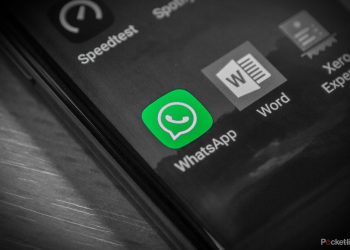 whatsapp-is-testing-a-group-call-scheduling-feature-–-pocket-lint