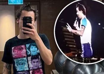 harry-styles-breaks-his-silence-on-deleted-one-direction-t-shirt-selfie-–-daily-mail