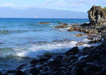 03/09/23-–-grounded-yacht-caused-significant-damage-to-live-rock-habitat