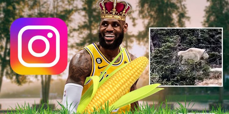 lebron-james-crowned-'corny'-king-after-goat-instagram-post-–-clutchpoints
