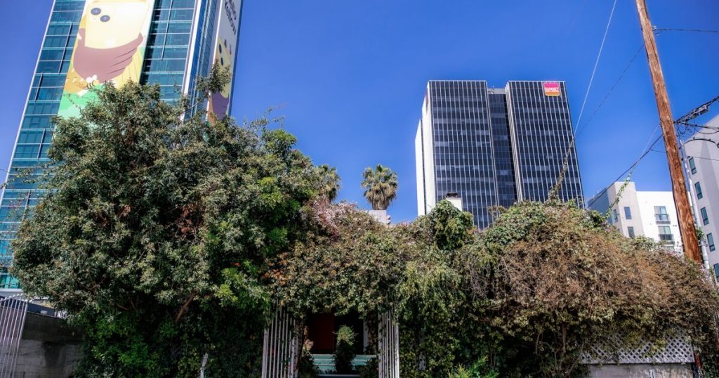 journalism-legend-linda-deutsch-on-why-the-closing-of-hollywood's-beloved-off-vine-matters
