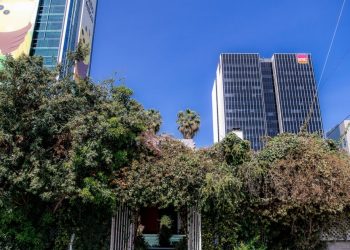 journalism-legend-linda-deutsch-on-why-the-closing-of-hollywood's-beloved-off-vine-matters