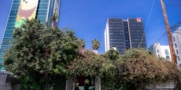 journalism-legend-linda-deutsch-on-why-the-closing-of-hollywood's-beloved-off-vine-matters