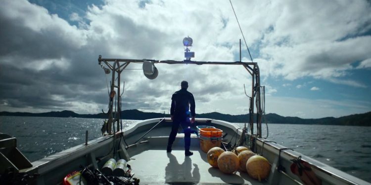 watch:-touching-short-documentary-'the-diver'-about-loss-in-japan-|-firstshowing.net