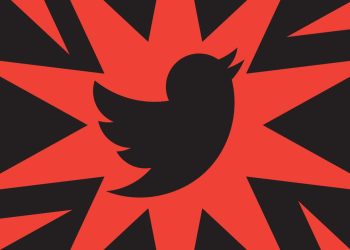 today-in-twitter:-where-are-the-retweet-labels,-and-why-did-doge-replace-the-bird?