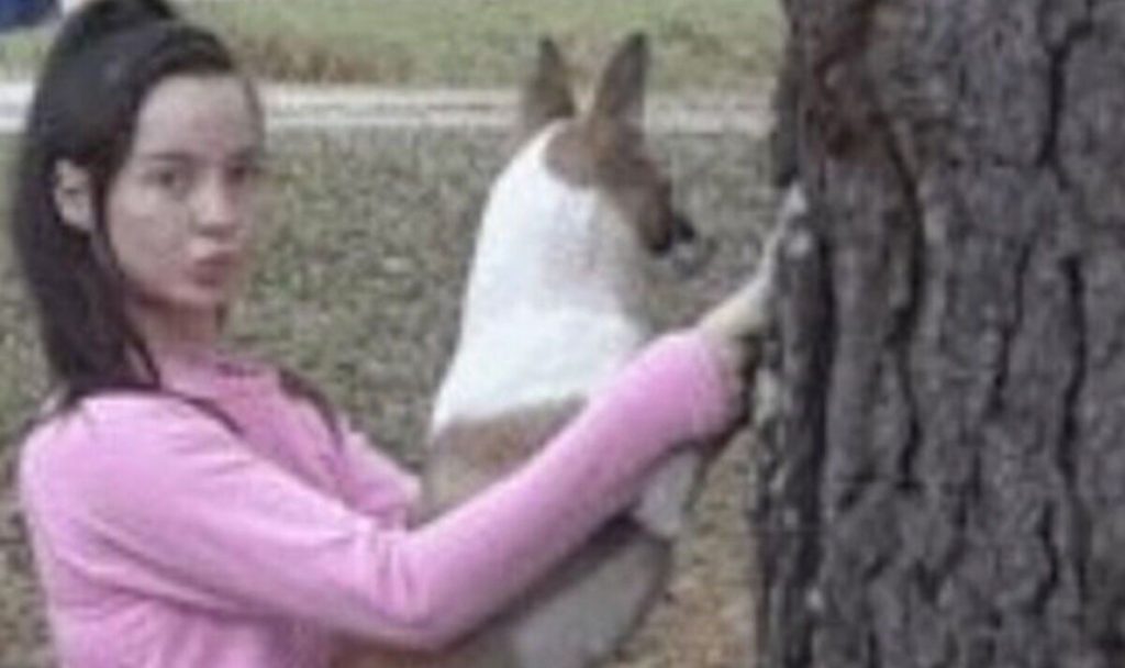 female-teen-who-had-'extremely-graphic-sex-with-dog'-breaks-her-silence-–-daily-express