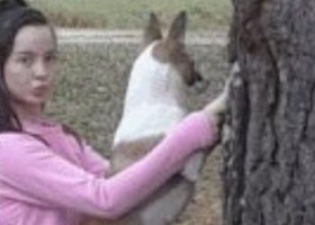 female-teen-who-had-'extremely-graphic-sex-with-dog'-breaks-her-silence-–-daily-express
