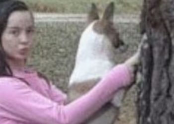 female-teen-filmed-'having-sex-with-dog'-in-horrific-video-involved-'three-animals'