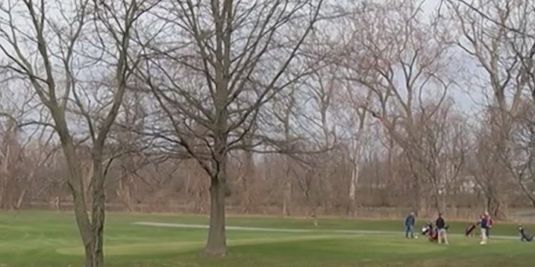 monroe-county's-public-golf-courses-open-friday-–-whec.com