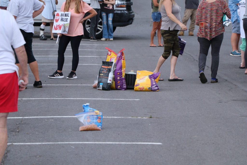 04/18/23-–-cat-feeding-protest-results-in-two-citations-for-illegal-take-of-nene