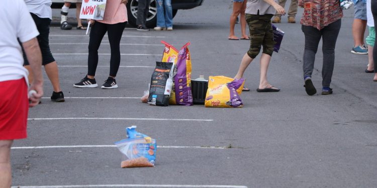04/18/23-–-cat-feeding-protest-results-in-two-citations-for-illegal-take-of-nene
