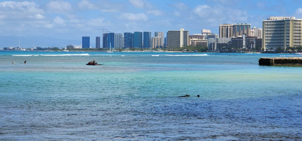 04/22/23-–-docare-begins-around-the-clock-presence-for-monk-seals-at-…