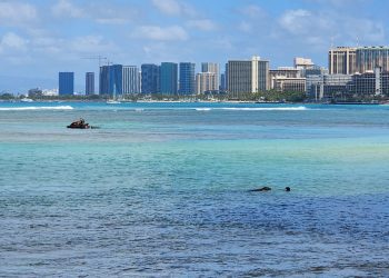 04/22/23-–-docare-begins-around-the-clock-presence-for-monk-seals-at-…