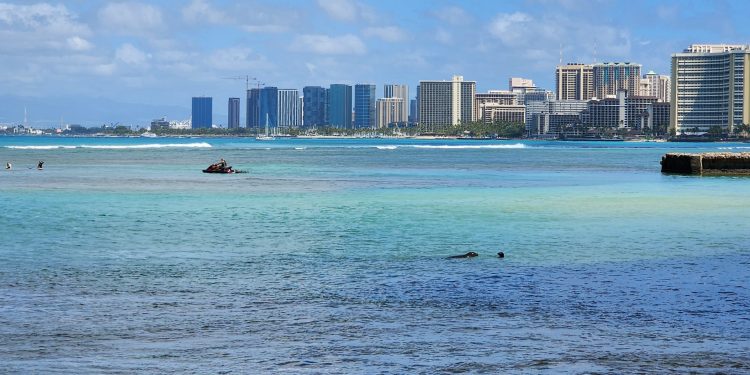 04/22/23-–-docare-begins-around-the-clock-presence-for-monk-seals-at-…