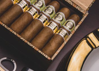 macanudo-gold-label-returns-to-retail-with-limited-edition-size-|-cigar-journal