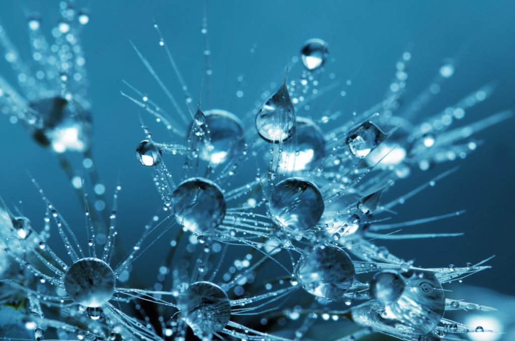 linkedin's-real-time-graph-database-is-liquid-–-the-new-stack