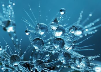 linkedin's-real-time-graph-database-is-liquid-–-the-new-stack