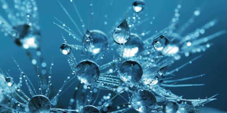 linkedin's-real-time-graph-database-is-liquid-–-the-new-stack
