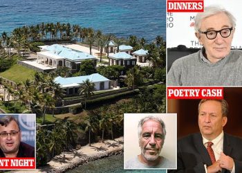billionaire-reid-hoffman-spent-night-on-jeffrey-epstein's-'pedophile-island'-after-his-conviction