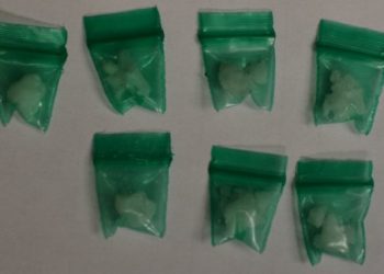 woman-pulled-over-for-speeding-in-wyandotte-arrested-for-narcotics-possession-–-the-news-herald