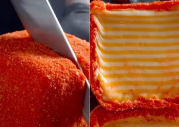 viral:-instagram-creator-fries-stack-of-more-than-20-cheese-slices,-“no-thanks”-says-internet
