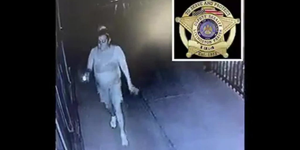 detectives-attempt-to-id-woman-who-allegedly-stole-internet-system-from-club-house-–-wafb