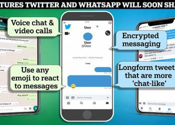 is-elon-musk-morphing-twitter-into-whatsapp?-|-daily-mail-online
