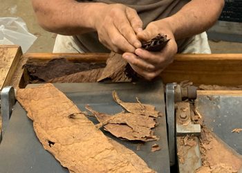 jc-newman-cigar-co.-adds-more-handrolling-classes