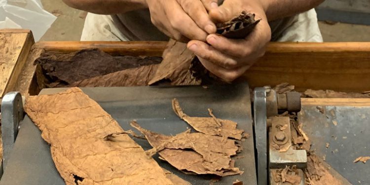 jc-newman-cigar-co.-adds-more-handrolling-classes