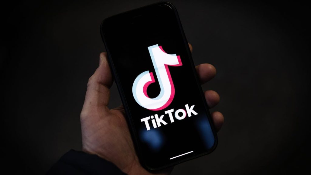instagram-and-facebook-are-using-fears-of-a-tiktok-ban-to-poach-influencers-–-gizmodo