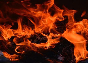 pelican-park-concession-stand-damaged-by-fire-|-the-game-|-southwest-louisiana's-sports-station