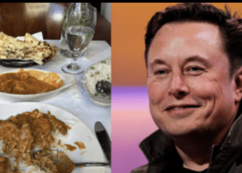 elon-musk's-“true”-response-to-indian-food-photo-goes-viral-on-twitter-–-times-of-india