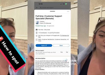 worker-explains-how-she-found-'fake-job'-listed-on-linkedin-–-the-daily-dot
