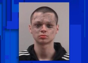 former-student-threatens-to-shoot-up-woodhaven-school-in-'erratic'-instagram-live-–-clickondetroit