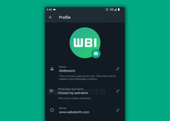 whatsapp-is-finally-adding-username-support-so-you-can-chat-without-sharing-your-number