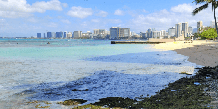 05/24/23-–-monk-seal-pup-pualani-to-be-relocated-after-weaning