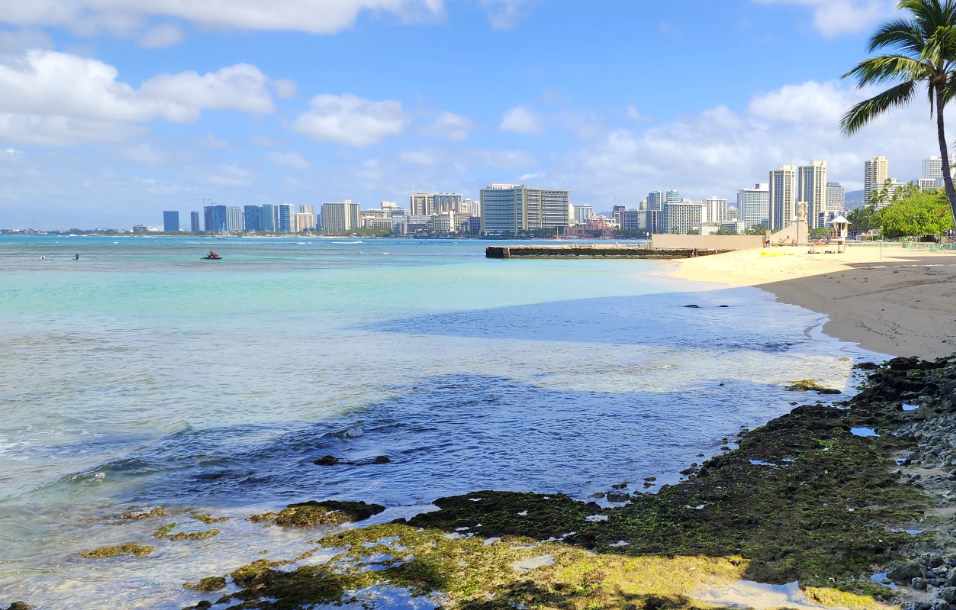 05/24/23-–-monk-seal-pup-pualani-to-be-relocated-after-weaning