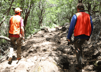 05/31/23-–-hunting-licenses-and-stamps-to-be-issued-for-the-2023-2024-…