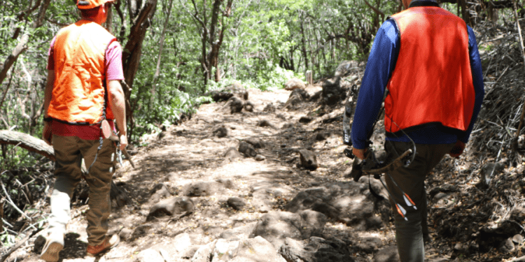 05/31/23-–-hunting-licenses-and-stamps-to-be-issued-for-the-2023-2024-…