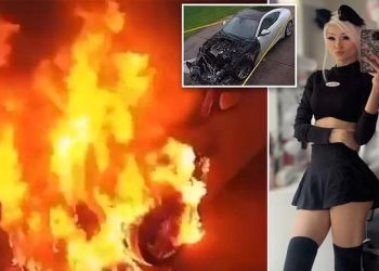 moment-twitch-streamer-justfoxii's-car-is-set-ablaze-by-viewer-who-torched-it-outside-her-home