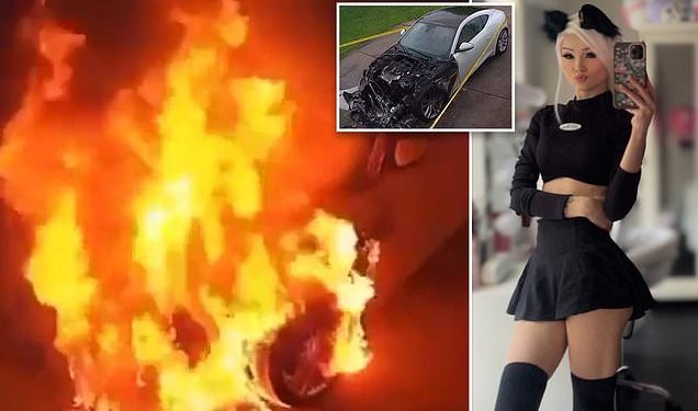 moment-twitch-streamer-justfoxii's-car-is-set-ablaze-by-viewer-who-torched-it-outside-her-home