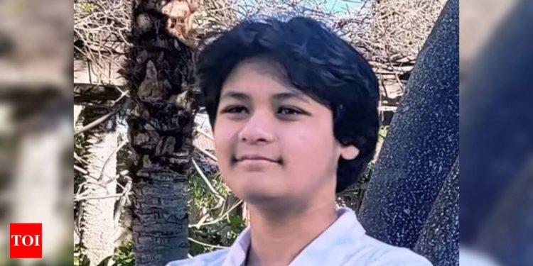 why-linkedin-is-deleting-account-of-youngest-spacex-engineer-–-times-of-india