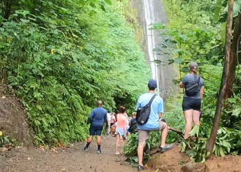 06/16/23-–-manoa-falls-trail-to-close-for-improvements-last-week-of-june