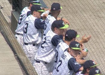 team-chemistry-key-to-early-success-for-worcester-bravehearts-–-spectrum-news
